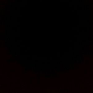 Meet your Posher, Ricky